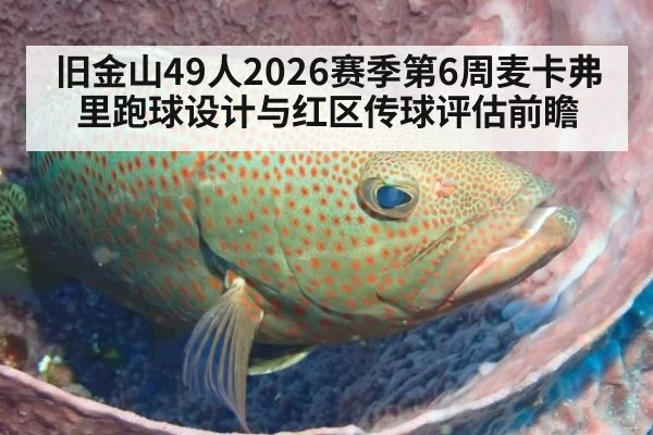 旧金山49人2026赛季第6周麦卡弗里跑球设计与红区传球评估前瞻